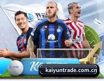 开云 APP 深度功能 - kaiyun